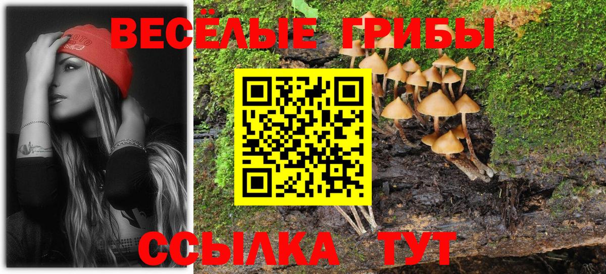 Галлюциногенные грибы мухоморы  Галлюциногенные грибы Magic Shrooms  Россошь  Вход с VPN 